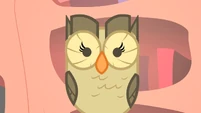 Owlowiscious staring S1E24