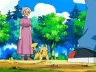 EP493
