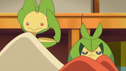Ash Swadloon sewing