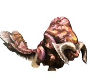 Dobosubspecies