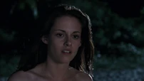 Pll1591