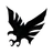 HAWK