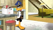 Working Duck (10)