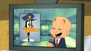 Working Duck (9)