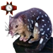 Item tigerquoll 01