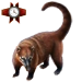 Item coati 01