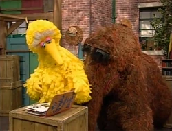 BBirdSings1