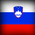 Slovenia Flame Icon