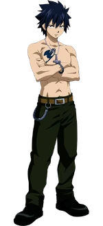 150px-Gray_Anime_S2.png