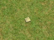 Unopenednewspapersims2