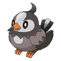 Imatge de Starly