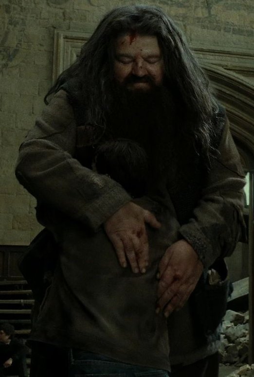 Rubeus Hagrid - Harry Potter Wiki