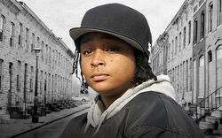 The Wire Snoop