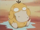 EP149 Psyduck.jpg