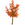 Amur Maple Tree-icon