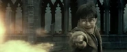 Harryconfringo
