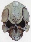 Iron Skull