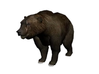 Brumas.png