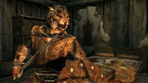 Skyrim-khajiit-male