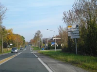 D129 (17) (1)