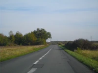 D129 (17) (2)