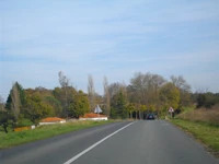 D129 (17) (4)