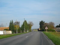 D129 (17) (10)
