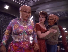 Quark.