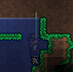 Terraria Breathing Reed in use
