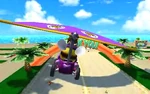 Wii Coconut Mall