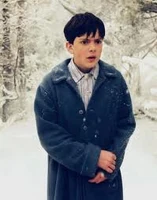 Edmund Pevensie 30