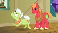 Big McIntosh helps Granny Smith with a cramp S2E06