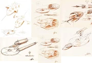 Constitution class design finding a direction