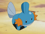 Brock Mudkip