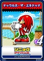 Sonic Advance 11 Knuckles
