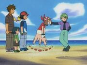 EP309 May peleando con Drew