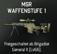 Msr.jpg
