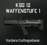 Ksg12.jpg