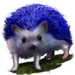 Item bluehedgehog 01