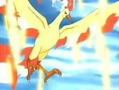 EH18 Moltres