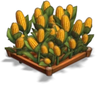 Maïs 02.png