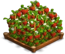 Fraises 02.png