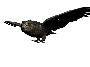 Buho
