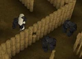 2 Apes.png