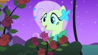 Fluttershy Gotcha! S01E26