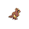 Pidgey