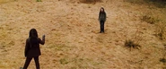 New-moon-meadow