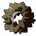 Black Hole