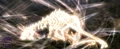 Dragonsoulskyrim.jpg