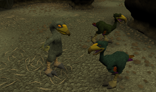 Breedingarea